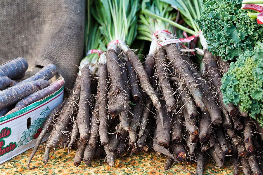 Black Salsify, Scorzonera, NON-GMO, Black Oyster Plant, Goat&#39;s Beard 150... - $5.00