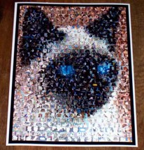 Amazng Siamese Cat Montage Limited Edtion Art Print COA - £8.48 GBP
