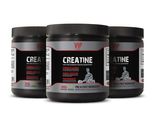 muscle quick - MICRONIZED CREATINE 300G athletic enhancement powder 3 CAN - $75.80