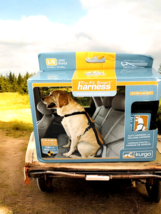 Dog Car Harness Kurgo Tru-Fit Smart Harness Large 75lb w/Walking Harness... - $18.99 CAD