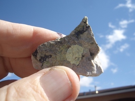 Item image 14