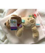 NWT Taggies Puppy Dog Buddy Plush 12&quot; Tan Beanbag Baby Mary Meyer Stuffe... - $349.86 MXN