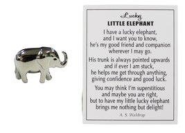 Ganz Lucky Little Elephant Charm with Story Card! - £9.55 GBP