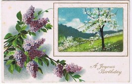 Greeting Postcard Embossed A Joyous Birthday Wish Hydrangeas &amp; Apple Tree - $2.96