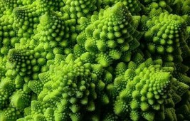 Romanesco Broccoli Seeds 300 Exotic Italia Vegetables Gardening Beautiful USA SH - £4.70 GBP