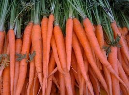 200 Fresh Carrot Tendersweet Seeds - £2.35 GBP