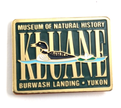 VTG Loon Kluane Museum Natural History Burwash Landing Yukon Bird Pin Souvenir - £12.70 GBP