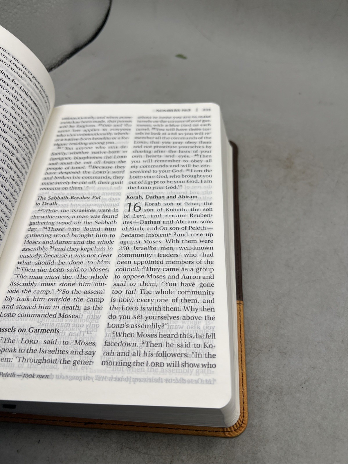 NIV Church  Holy Bible, Large Print By Zondervan 2011, Leather Back Item image 10