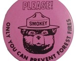 Vtg Fumè Il Orso Only You Can Prevenire Forest Fires Pinback Bottone 3.8cm - $7.13