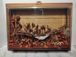 Road Runner Bird Diorama Frame - £35.29 GBP
