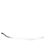 ROGUE     2012 Wiper Arm               1326631SAME DAY SHIPPING - $72.15