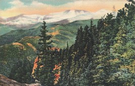 Denver Mountain Parks Co~Mt Evans From Window LEDGE-SQUAW Park~Colortone Postcrd - £6.98 GBP