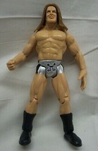 Wwf Wcw Triple H 6&quot; Jointed Plastic Action Figure Toy 1999 Hhh - £11.59 GBP