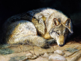 Framed canvas art print giclée lone wolf wildlife nature animal fine - £31.64 GBP+