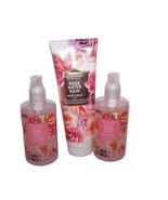 Scentworx Rose Water Rain Fragrance 3 Piece Set Hand Sanitizer Gel &amp; Bod... - $38.99