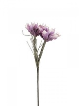EUROPALMS Magnolia (Eva ),Artificial,Purple - $7.75
