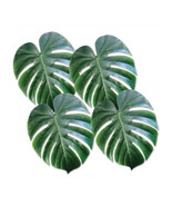 DDI 1906529 Tropical Palm Leaves Case of 12 - $1,651.52 MXN