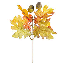 Oak And Acorn Pick Orange - 7 X 9.5 Inches - £12.41 GBP