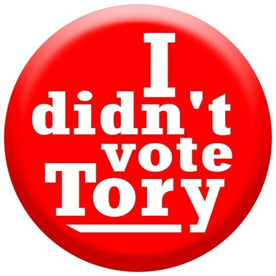 Primary image for 12cm Vinyl Window Sticker Didn't Vote Tory Boris Johnson labour car van Sunak