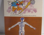1978 Walt Disney&#39;s Fun &amp; Facts Flashcard #DFF4-8: The Nervous System - $2.00