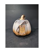 GC Harvest Autumn Pumpkin, Cinnamon Pumpkin Scented, Hand Painted Fall D... - $225.80 MXN