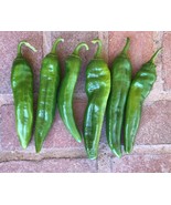 BRN 25 Nu Mex Joe E Parker Pepper Seeds Non Gmo Fresh Garden - €11,50 EUR