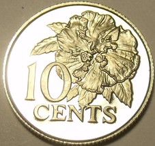 Rare Proof Trinidad &amp; Tobago 1977 10 Cents~5,337 Minted~Hibiscus - £3.54 GBP