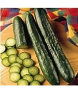 Sweeter Yet Cucumbers Seeds 20+ Seeds Non Gmo Fruit Herb Flower Fresh - £8.61 GBP