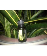 doTERRA Lime 15 mL Essential Oil  NEW &amp; SEALED Exp 02/29 - $22.00