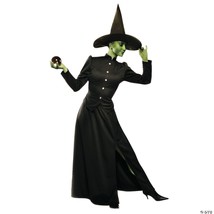 CLASSIC WITCH ADULT MEDIUM - $58.45
