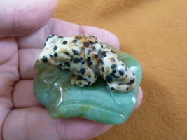 (Y-FRO-LP-717) BLACK SPOTTED FROG frogs LILY PAD stone gemstone CARVING ... - $17.53