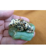 (Y-FRO-LP-717) BLACK SPOTTED FROG frogs LILY PAD stone gemstone CARVING ... - £13.80 GBP