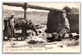 Egypt Egyptian Types And Scenes A Sakiyeh Egypt DB Postcard Y11 - £2.29 GBP