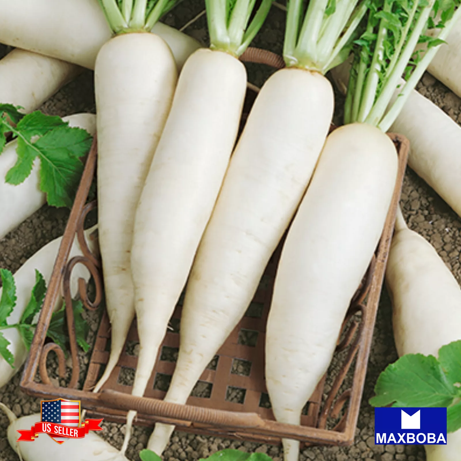 200 Cover Crop Daikon Minowase Radish Seeds (Organic) Non-GMO BTGO 75% OFF - $5.21