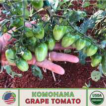 US Seller 10 Hawaiian Komohana Grape Tomato Seeds, Organic, Open-Pollina... - $10.17