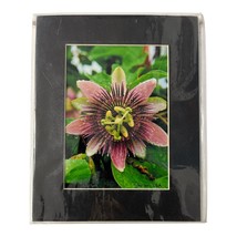 Passion Flower Photography Print – Signed Staci Lewis White - $430.73 MXN