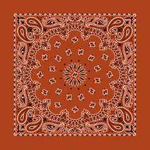 Burnt Orange 22&quot; x 22&quot; Paisley Print Bandana - £6.00 GBP