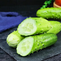 Superior Classic Fruit Cucumber Vigorous Growth Greenhouse Open Field Seeds - $13.20 CAD