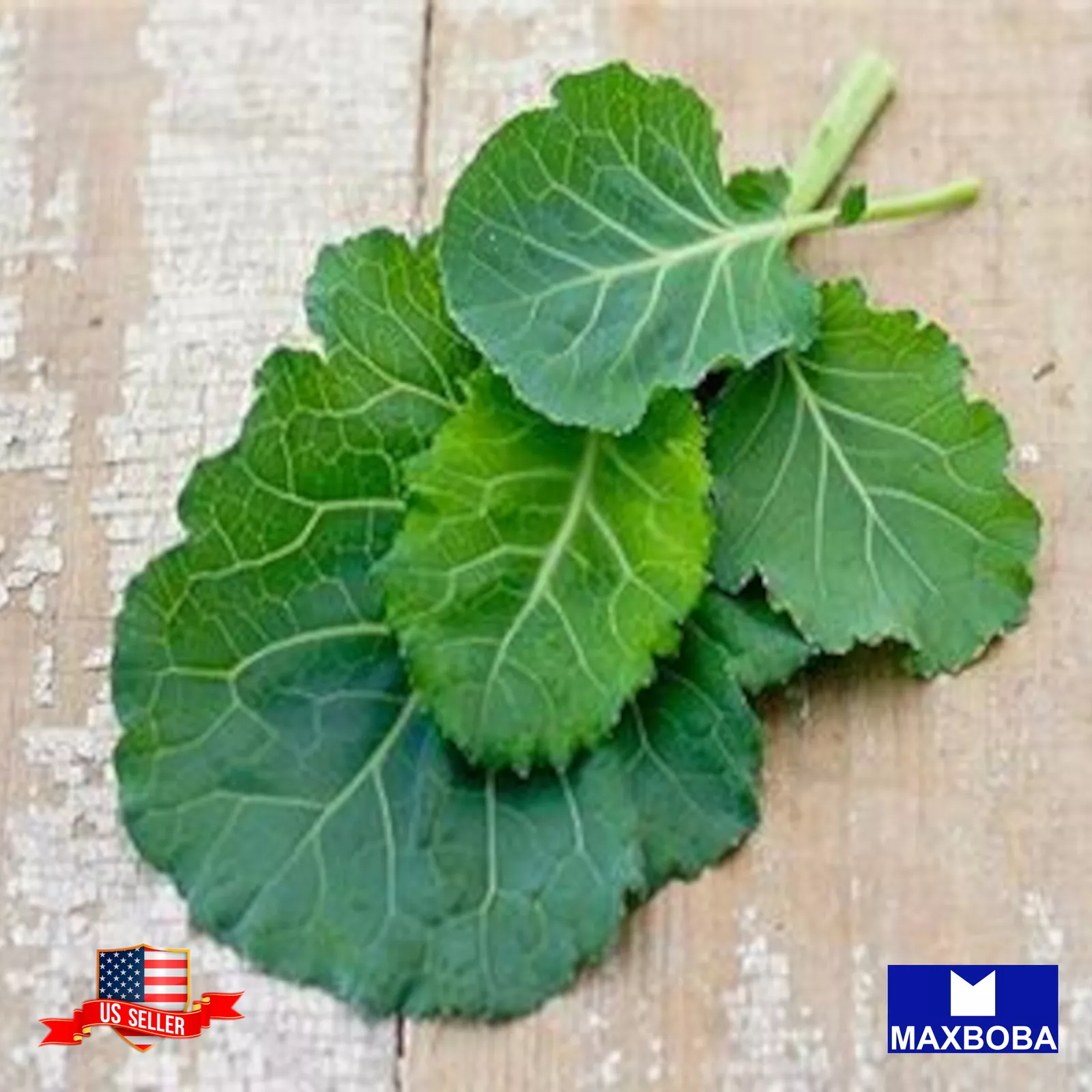 Kale Seeds Portuguese Non-GMO Heirloom - $8.67