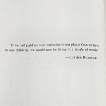 A Plan For Growing Up 1952 Vintage Character Guide Marion Davis Hardcover Book image 5