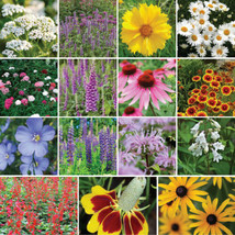 New Wildflower Mix All Perennial Deer Resistant Pollinators Bees Non-GMO 1000 Se - £2.99 GBP