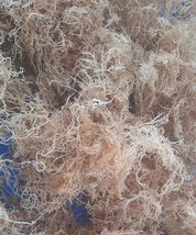 Dr. Sebi Approved Dired Sea Moss/ Irish Moss From the Rocks of the ocean 4oz - £15.76 GBP
