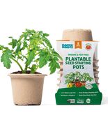 Back to the Roots Organic Plantable Seed Starting Pots 4.25&quot; Wide Brown ... - $218.10 MXN