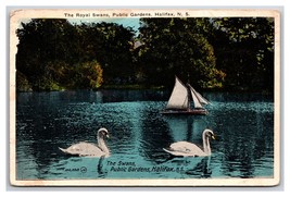 Royal Swans Public Gardens Halifax Nova Scotia Canada WB Postrcard P28 - $5.89