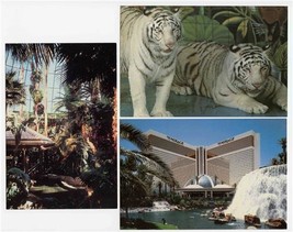 3 Mirage Hotel Postcards The Strip Las Vegas Nevada Tigers Rain Forest Waterfall - £11.05 GBP