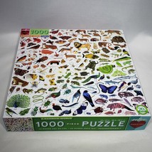 EeBoo A Rainbow World 1000 Piece Jigsaw Puzzle New Open Box Pieces Sealed - £18.15 GBP