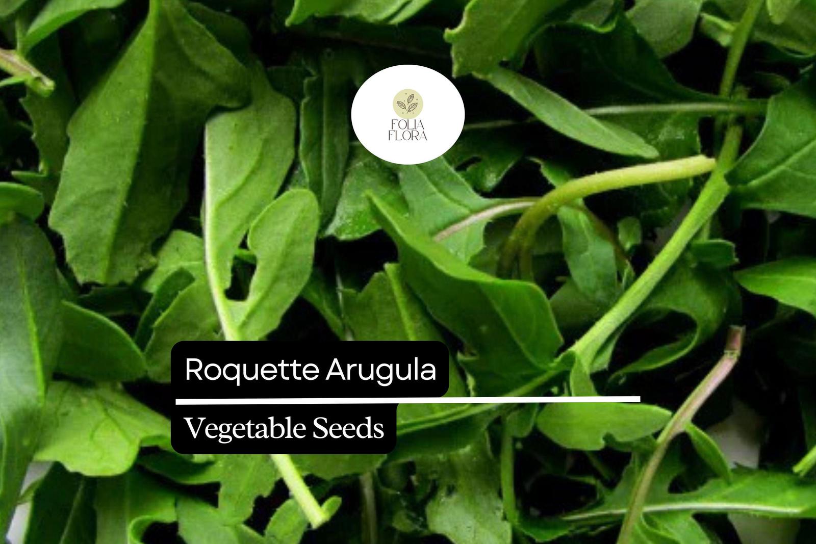500 Seeds Roquette Arugula (Eruca vesicaria) – Peppery Greens for Salads... - $5.14