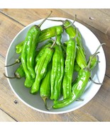 Shishito Mild Cayenne Pepper Heirloom Seeds - $12.10