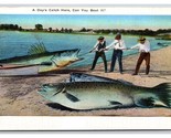 Comic Exaggeration Fishing A Days Catch Here UNP Linen Postcard W22 - £2.30 GBP