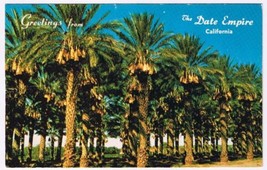 Postcard Date Groves Laden With Fruit Coachella Valley Date Empire Calif... - £2.34 GBP